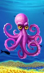 Crazy Octopus